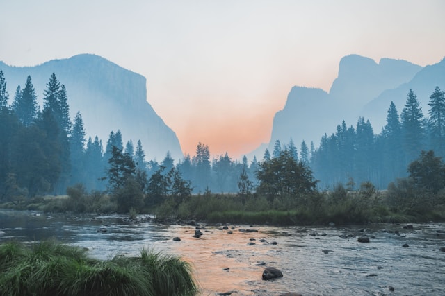 长街药香封面